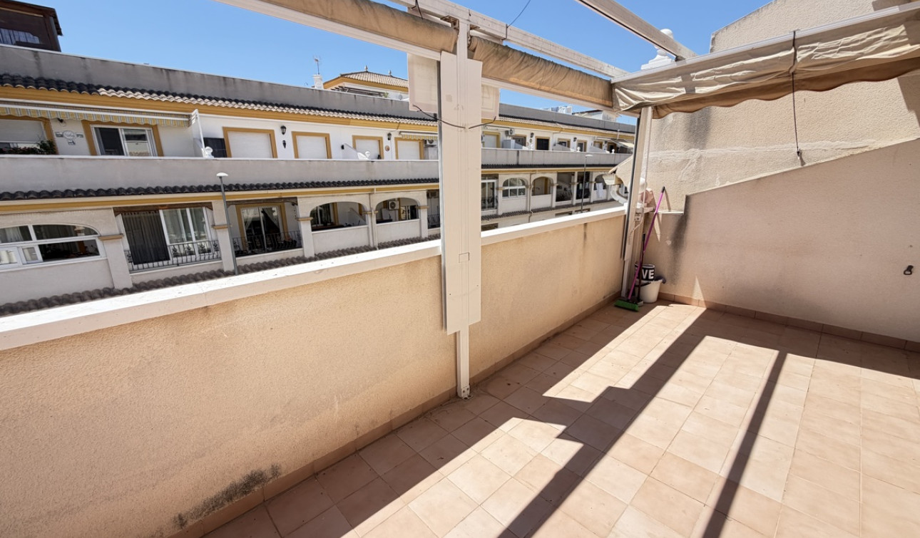 Resale - Apartment / Flat - San Miguel de Salinas