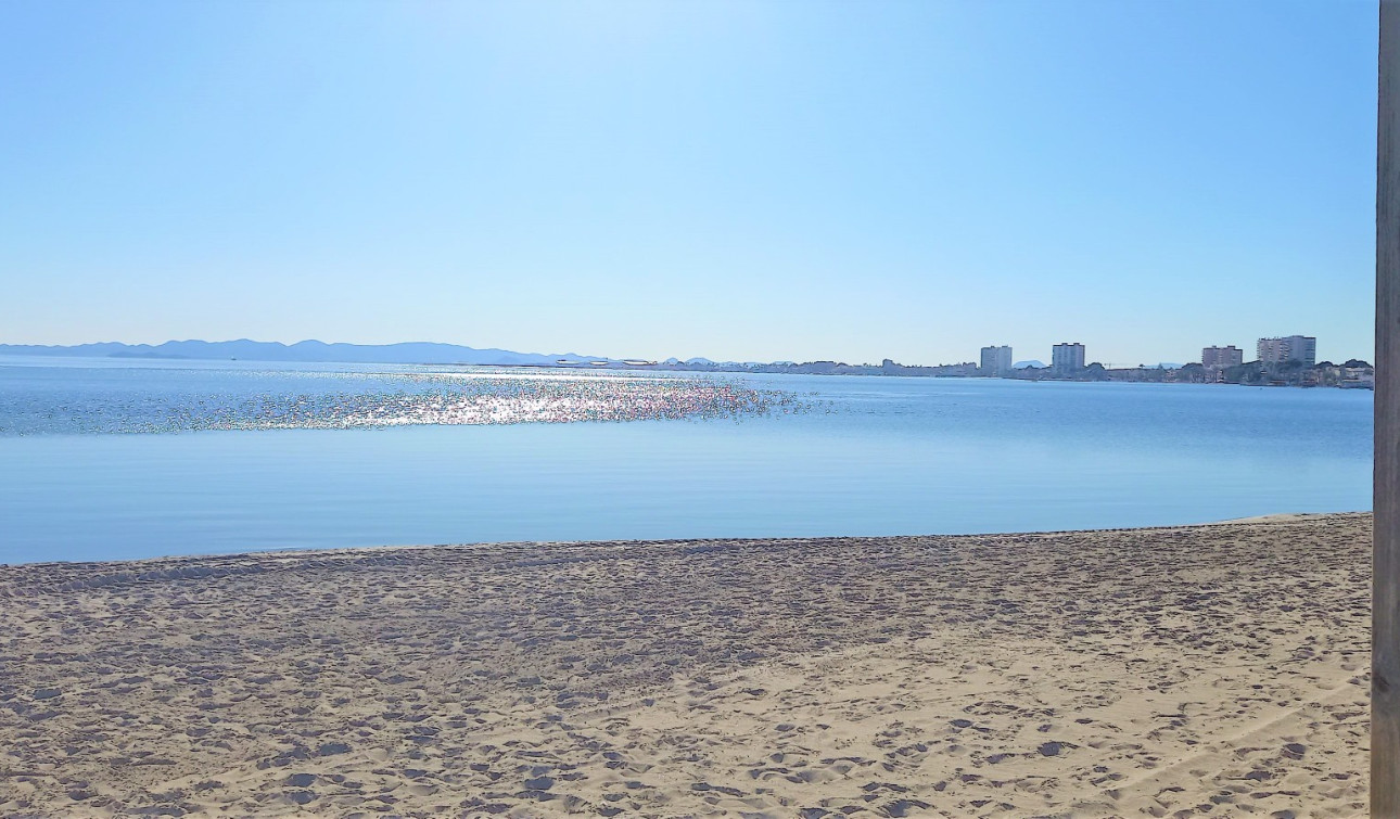 Resale - Apartment / Flat - San Pedro del Pinatar - Lo Pagan