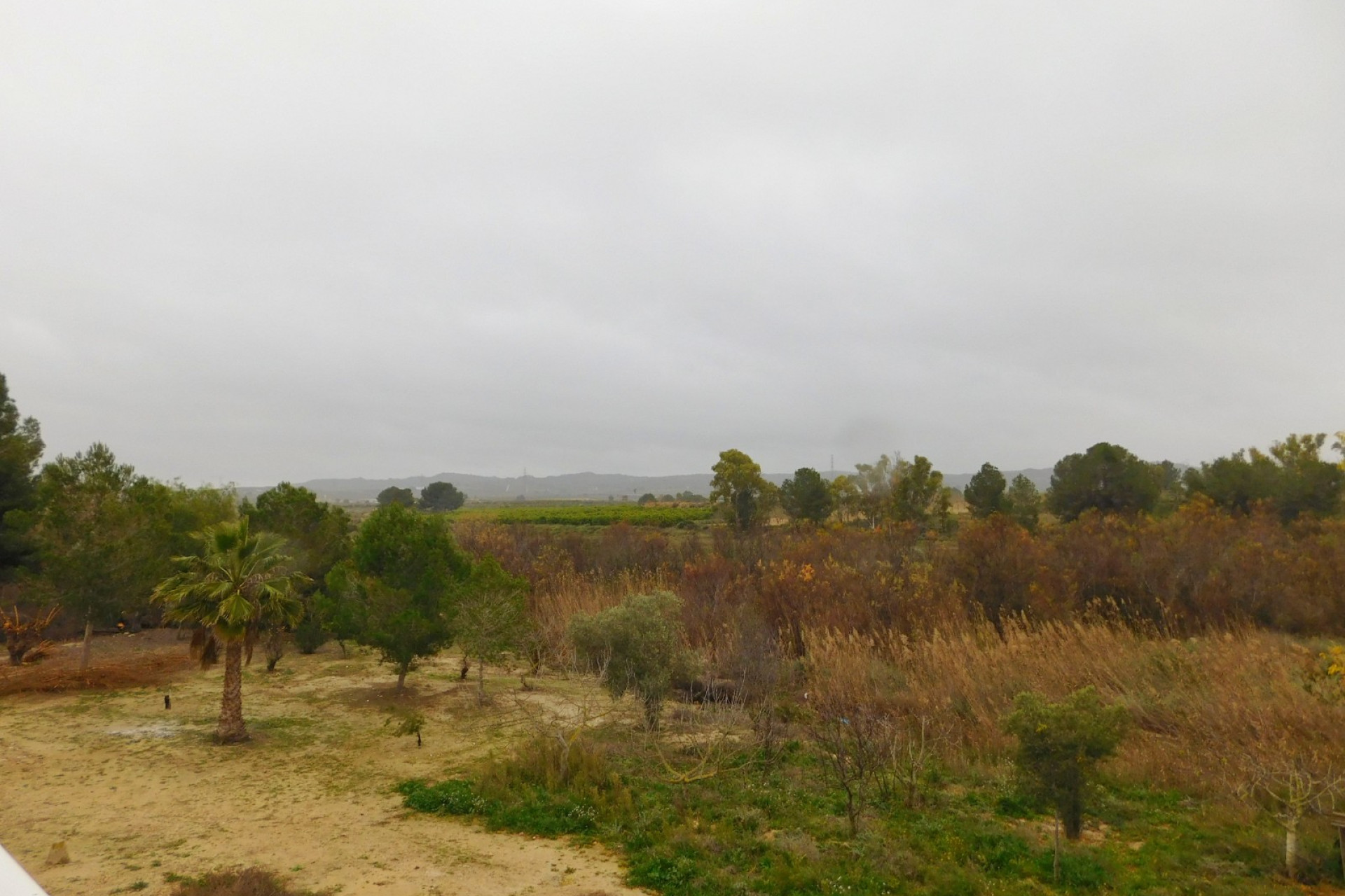 Resale - Apartment / Flat - Torremendo