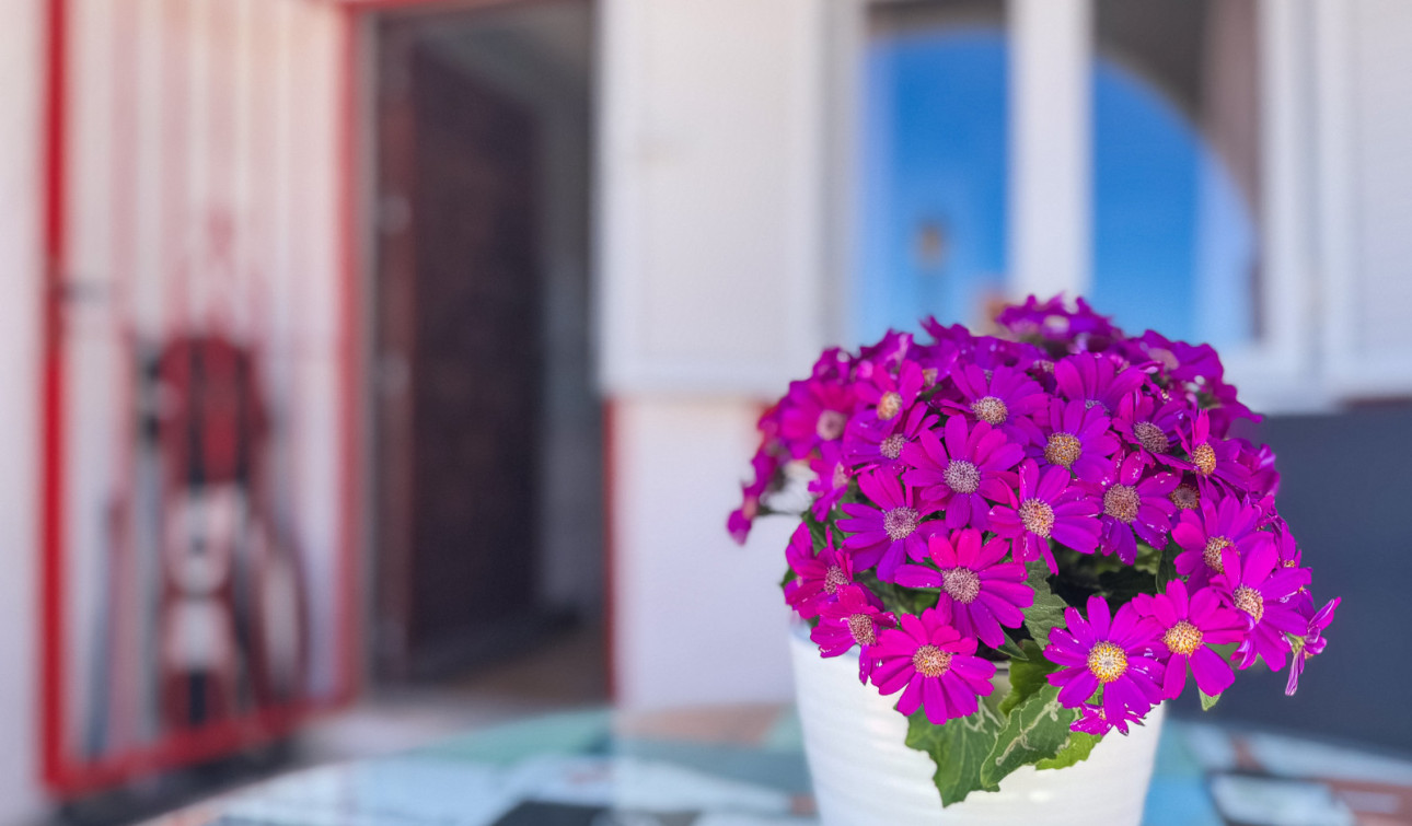 Resale - Apartment / Flat - Torrevieja - Cabo cervera
