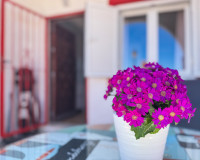 Resale - Apartment / Flat - Torrevieja - Cabo cervera