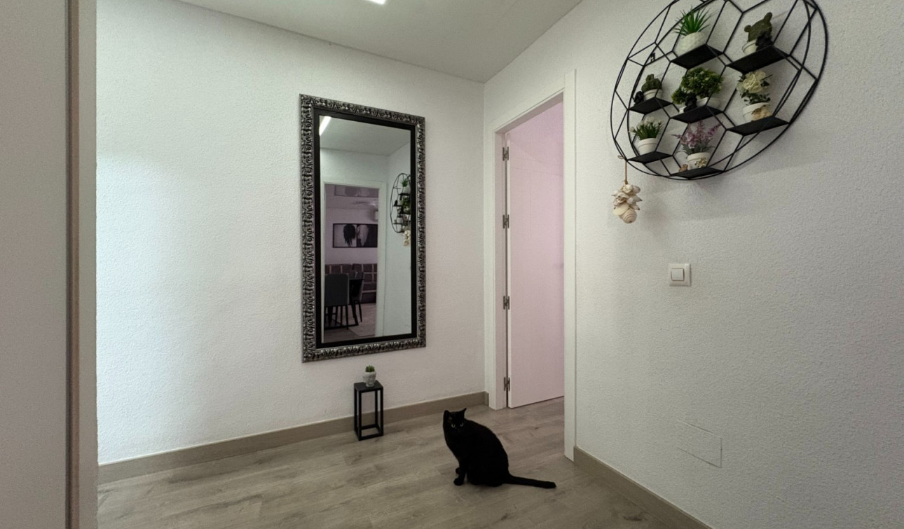 Resale - Apartment / Flat - Torrevieja - Centro