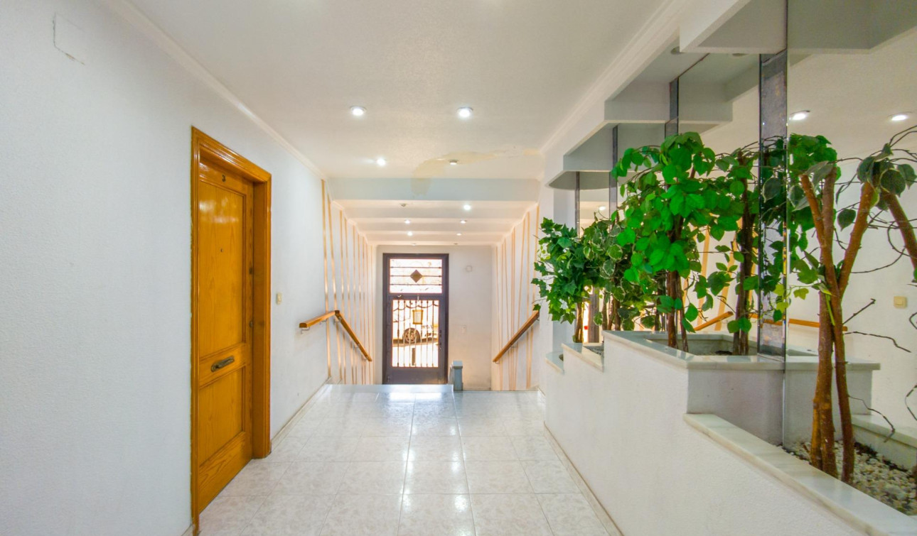 Resale - Apartment / Flat - Torrevieja - Estacion de autobuses