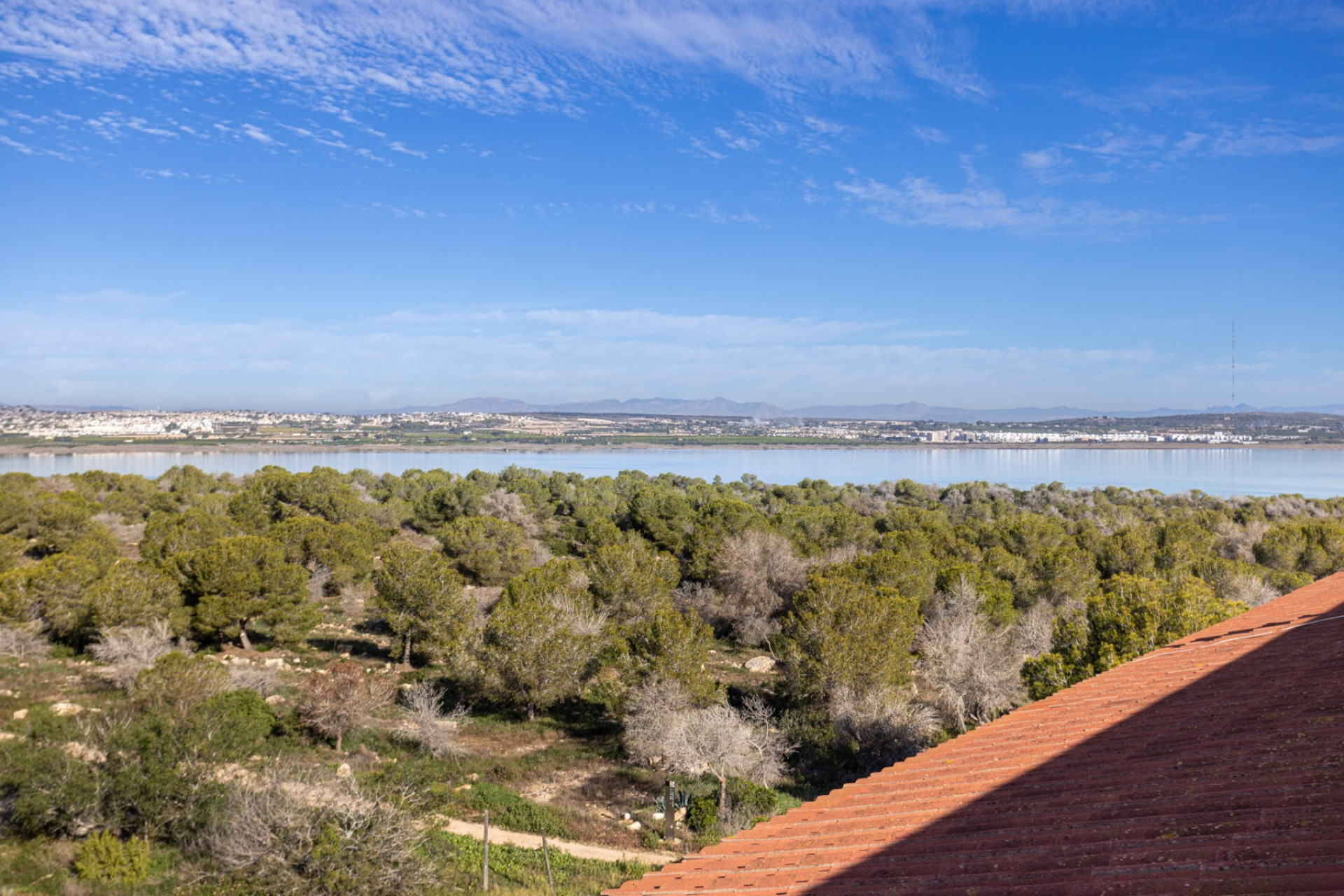 Resale - Apartment / Flat - Torrevieja - La Siesta