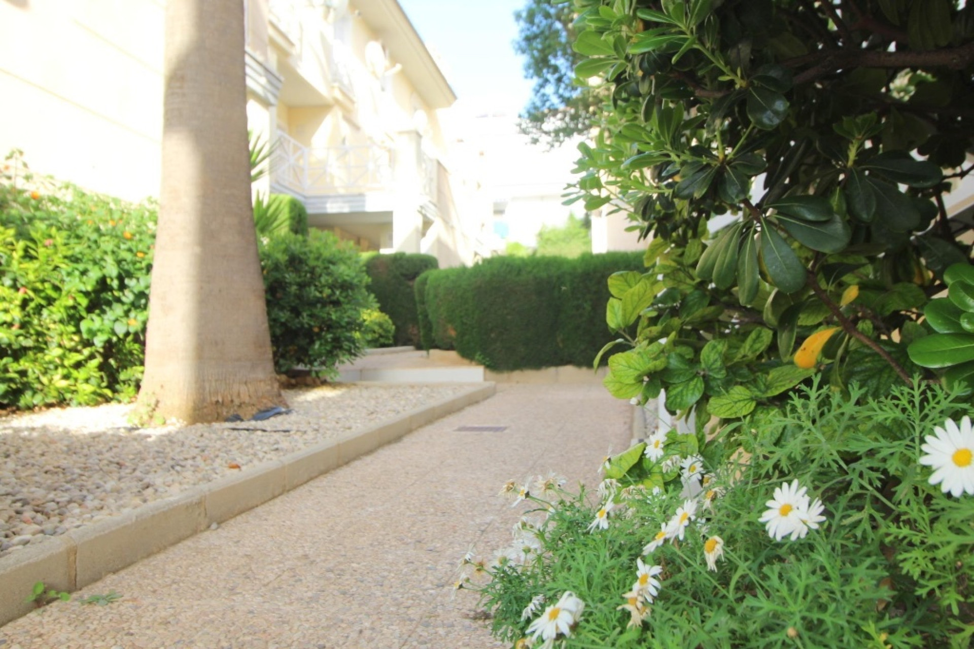 Resale - Apartment / Flat - Torrevieja - La Veleta