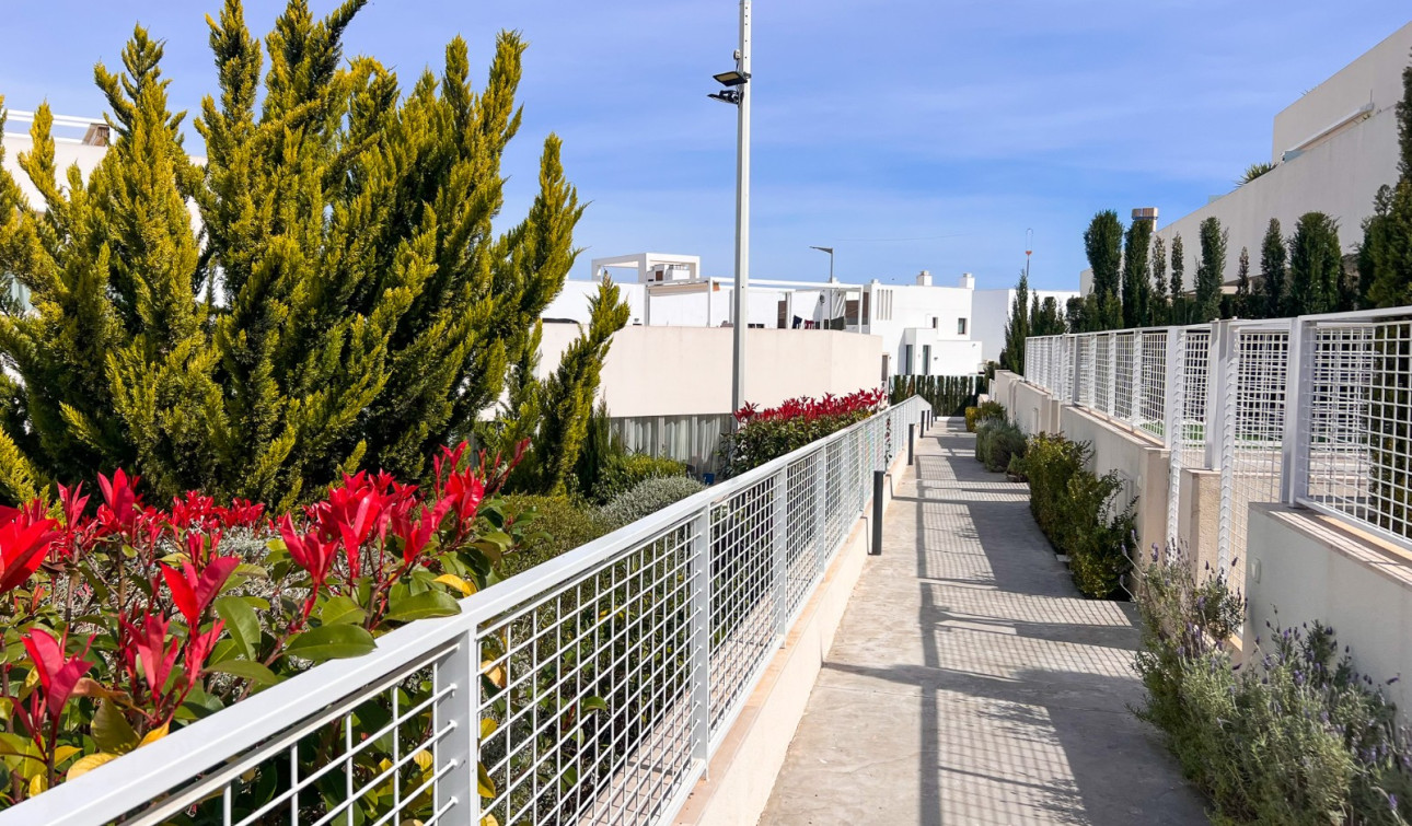 Resale - Apartment / Flat - Torrevieja - Los Balcones