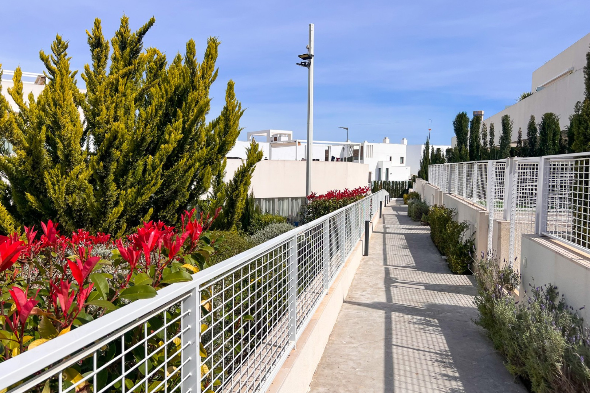 Resale - Apartment / Flat - Torrevieja - Los Balcones