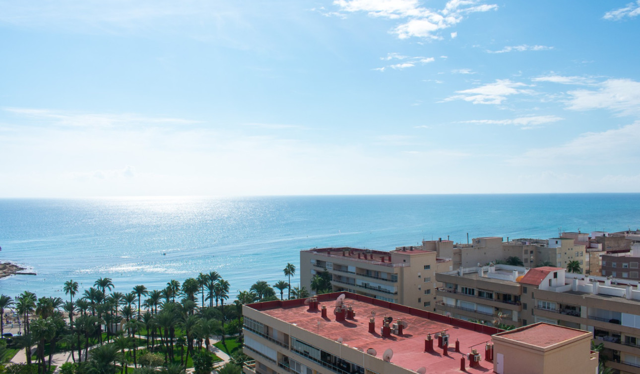 Resale - Apartment / Flat - Torrevieja - Playa de los Locos