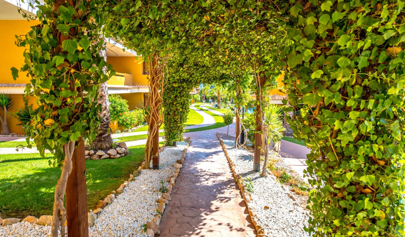 Resale - Apartment / Flat - Torrevieja - Punta Prima