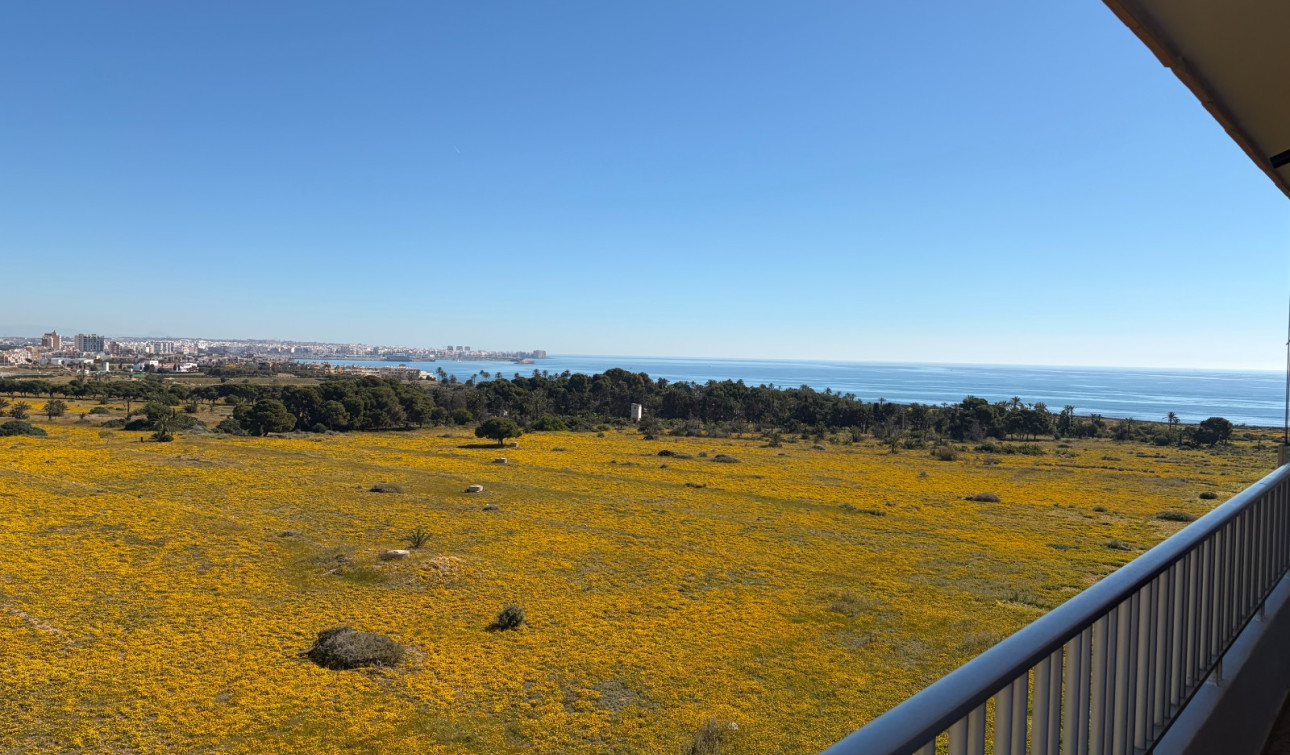Resale - Apartment / Flat - Torrevieja - Punta Prima