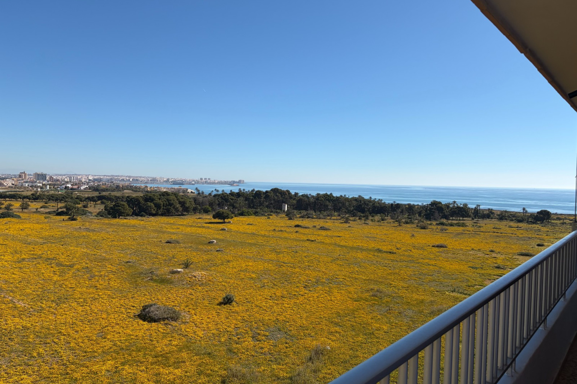 Resale - Apartment / Flat - Torrevieja - Punta Prima