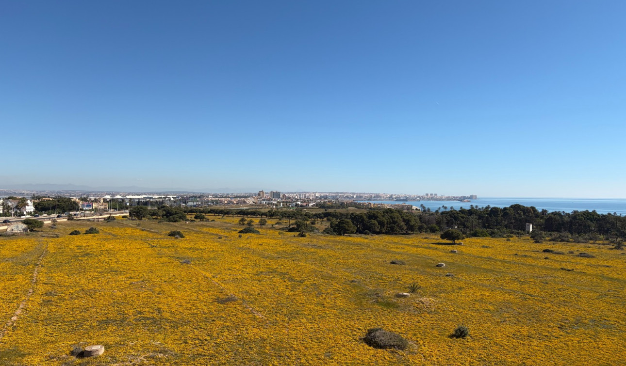 Resale - Apartment / Flat - Torrevieja - Punta Prima