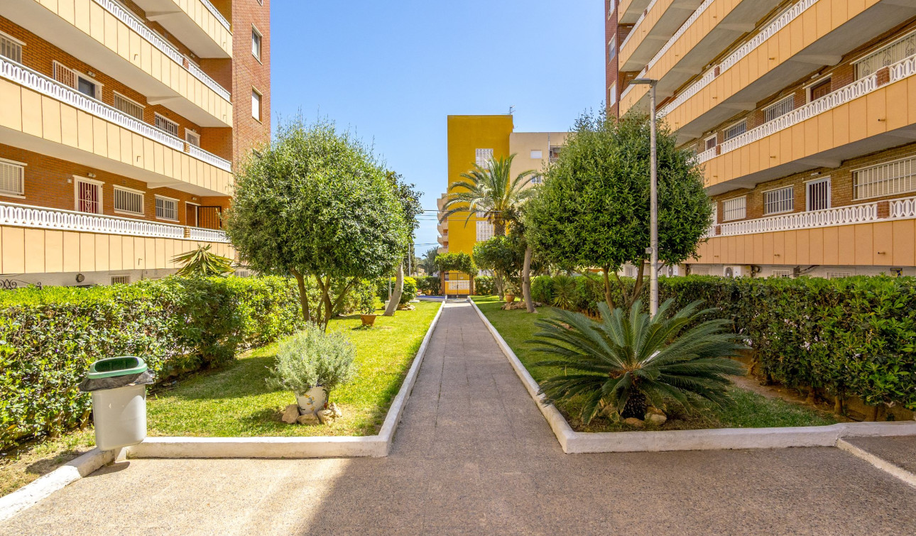 Resale - Apartment / Flat - Torrevieja - Punta Prima