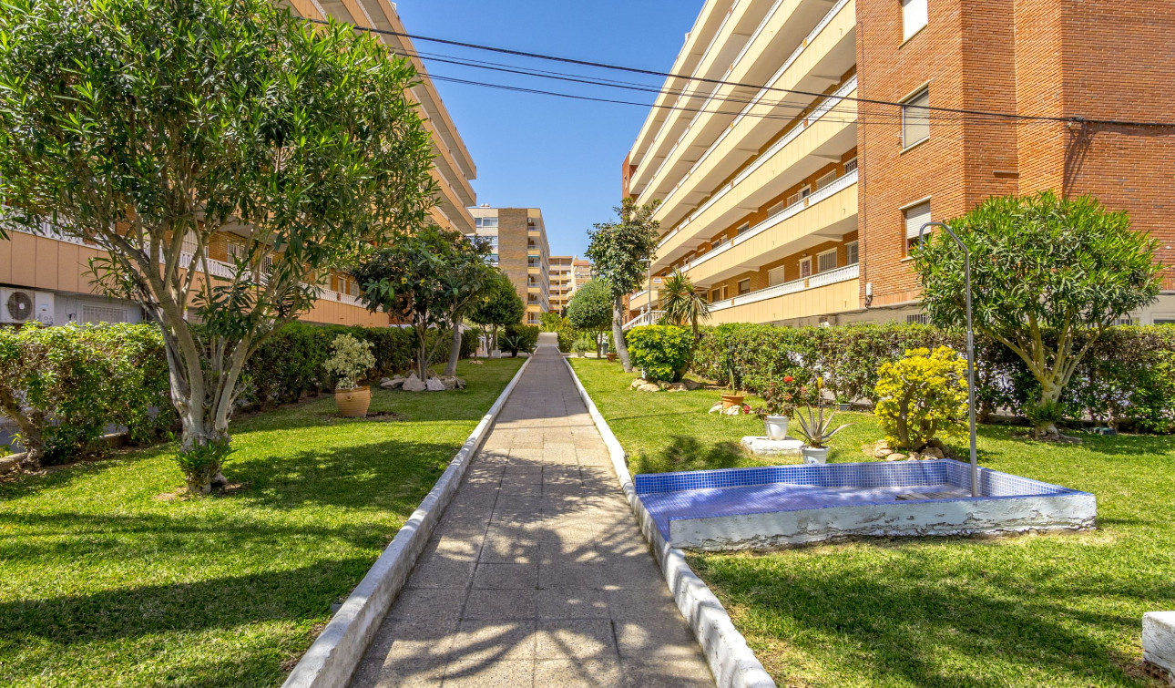 Resale - Apartment / Flat - Torrevieja - Punta Prima