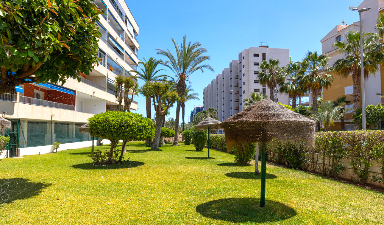 Resale - Apartment / Flat - Torrevieja - Rocio del Mar