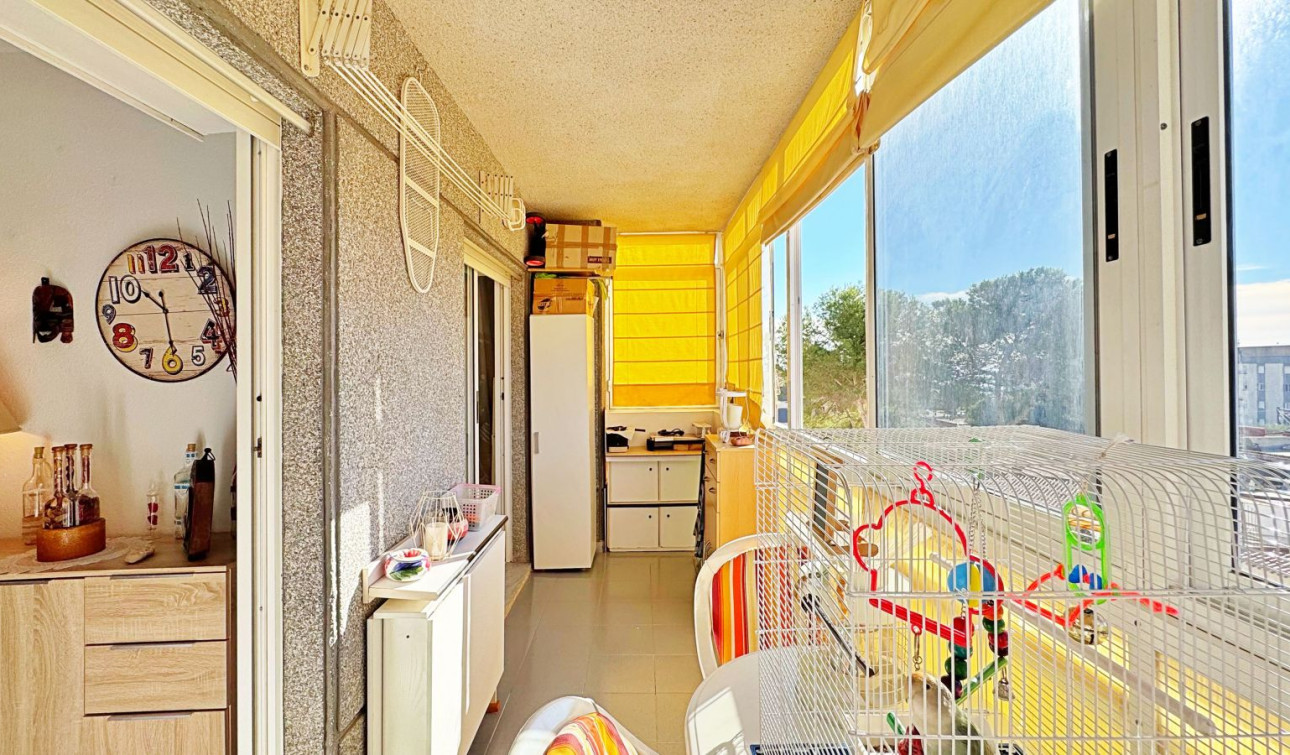 Resale - Apartment / Flat - Torrevieja - Rocio del Mar