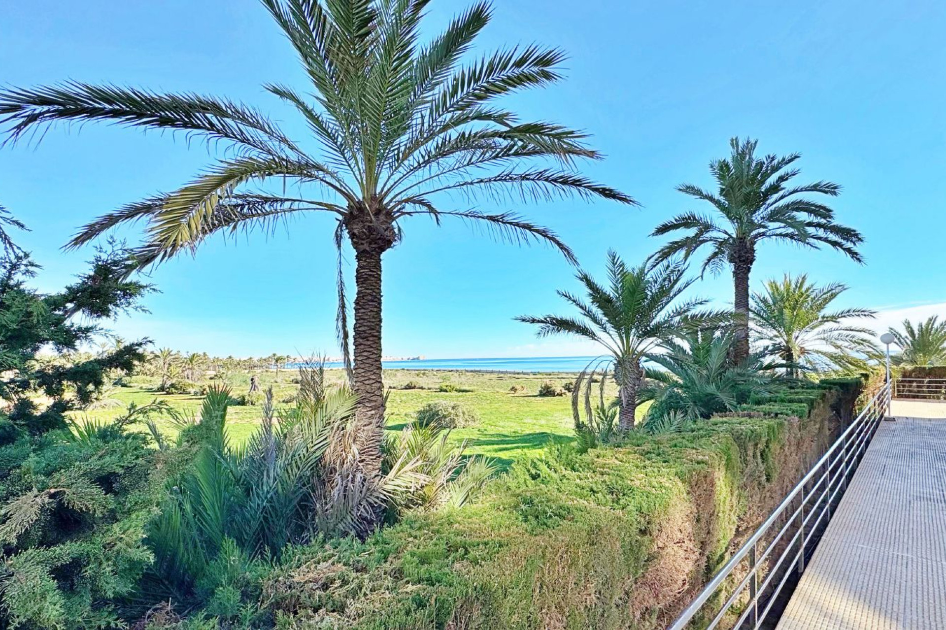 Resale - Apartment / Flat - Torrevieja - Rocio del Mar