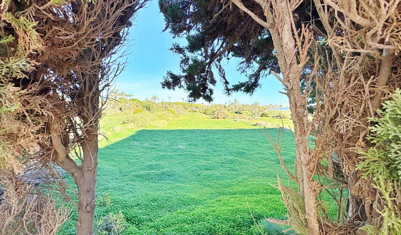 Resale - Apartment / Flat - Torrevieja - Rocio del Mar