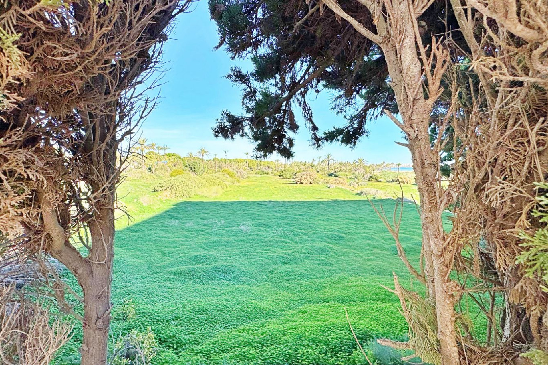 Resale - Apartment / Flat - Torrevieja - Rocio del Mar