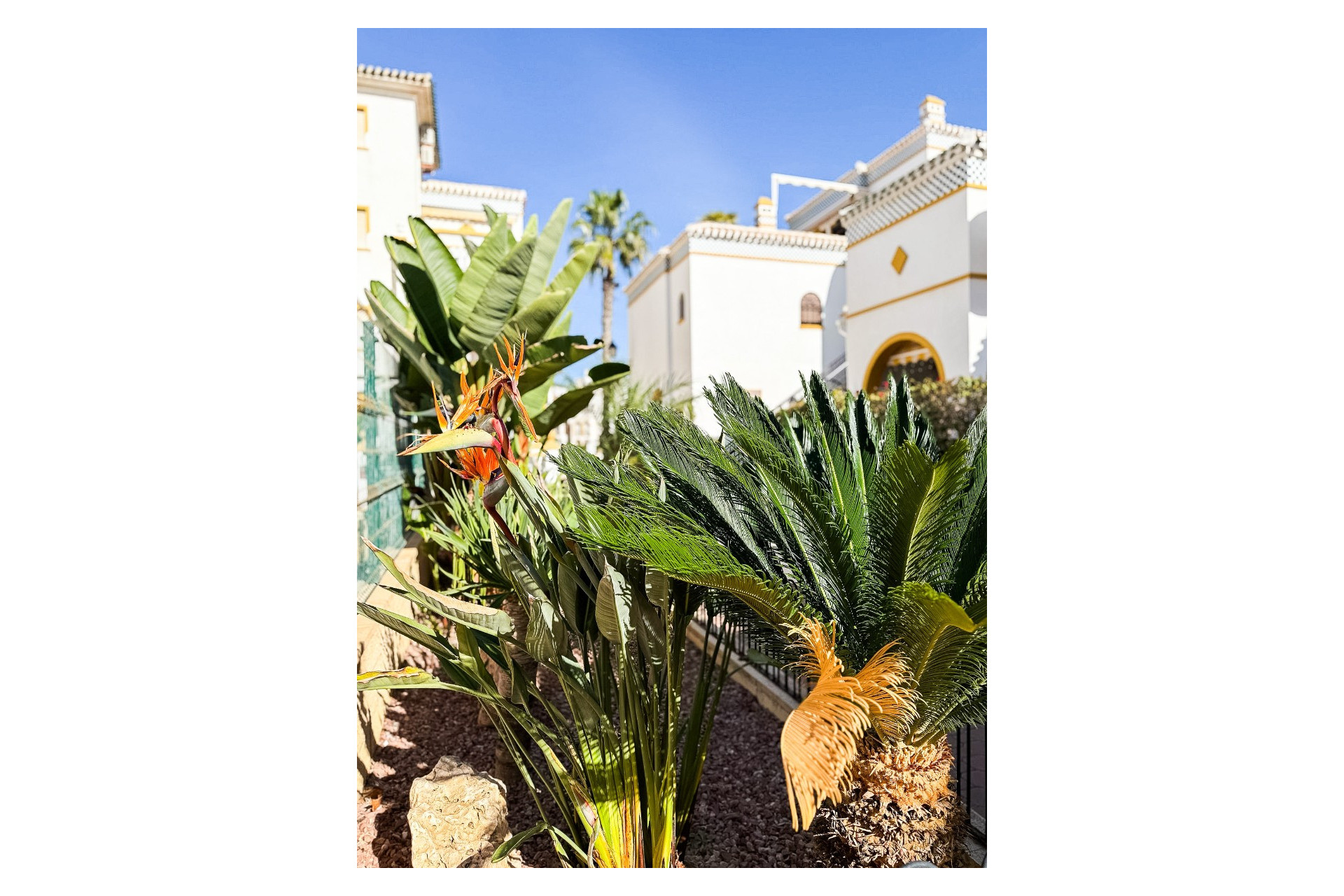 Resale - Apartment / Flat - Torrevieja - Torrelamata - La Mata