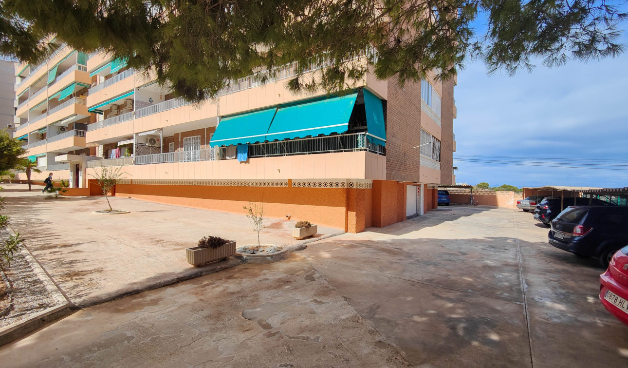 Resale - Apartment / Flat - Torrevieja - torrevieja