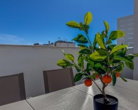 Resale - Apartment / Flat - Torrevieja