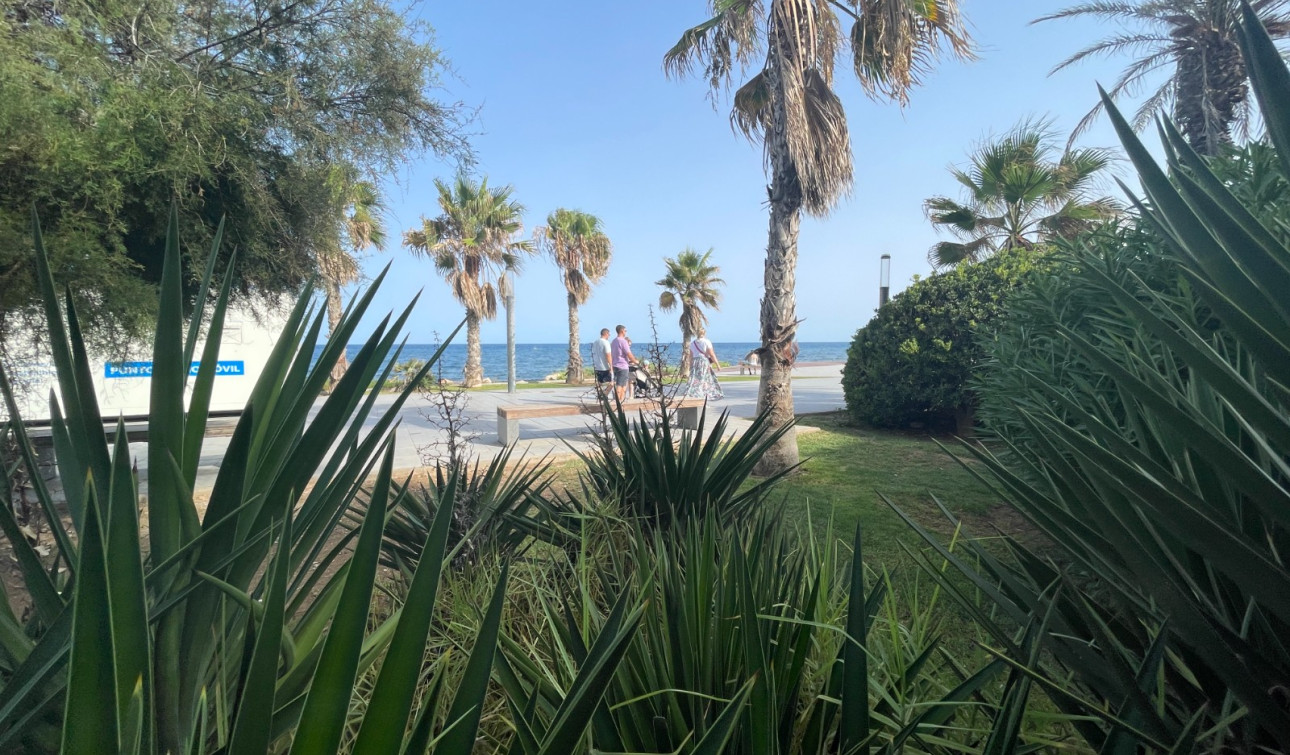 Resale - Commercial Unit - Torrevieja - Comunidad Valenciana