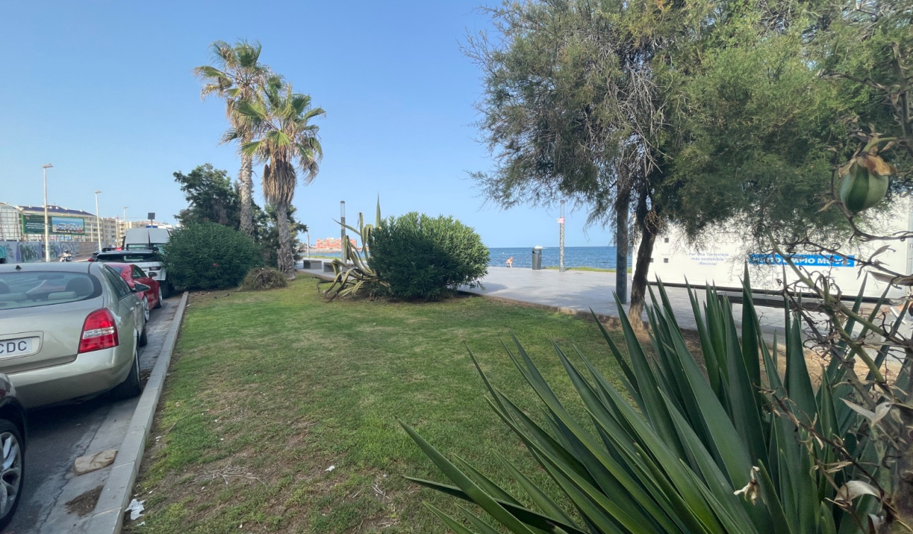 Resale - Commercial Unit - Torrevieja - Comunidad Valenciana