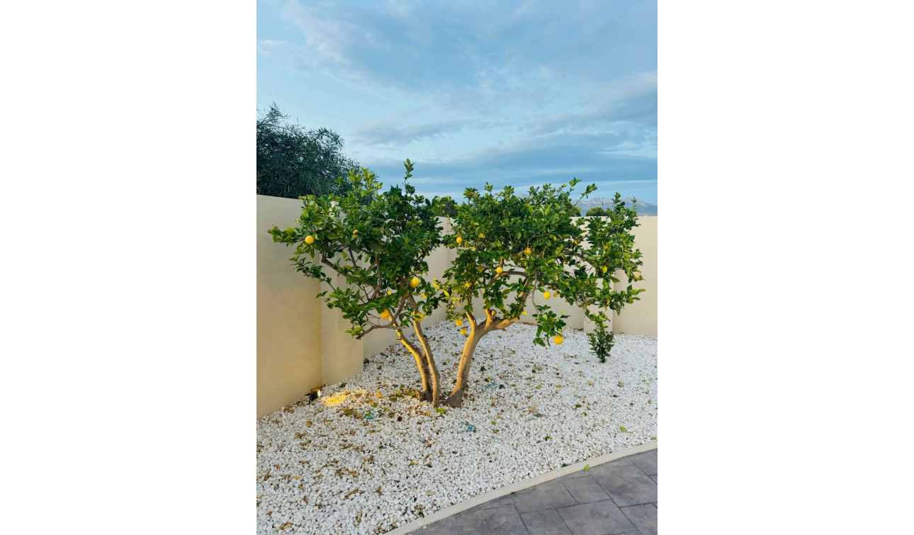 Resale - Detached Villa - Alfas del Pí - pueblo