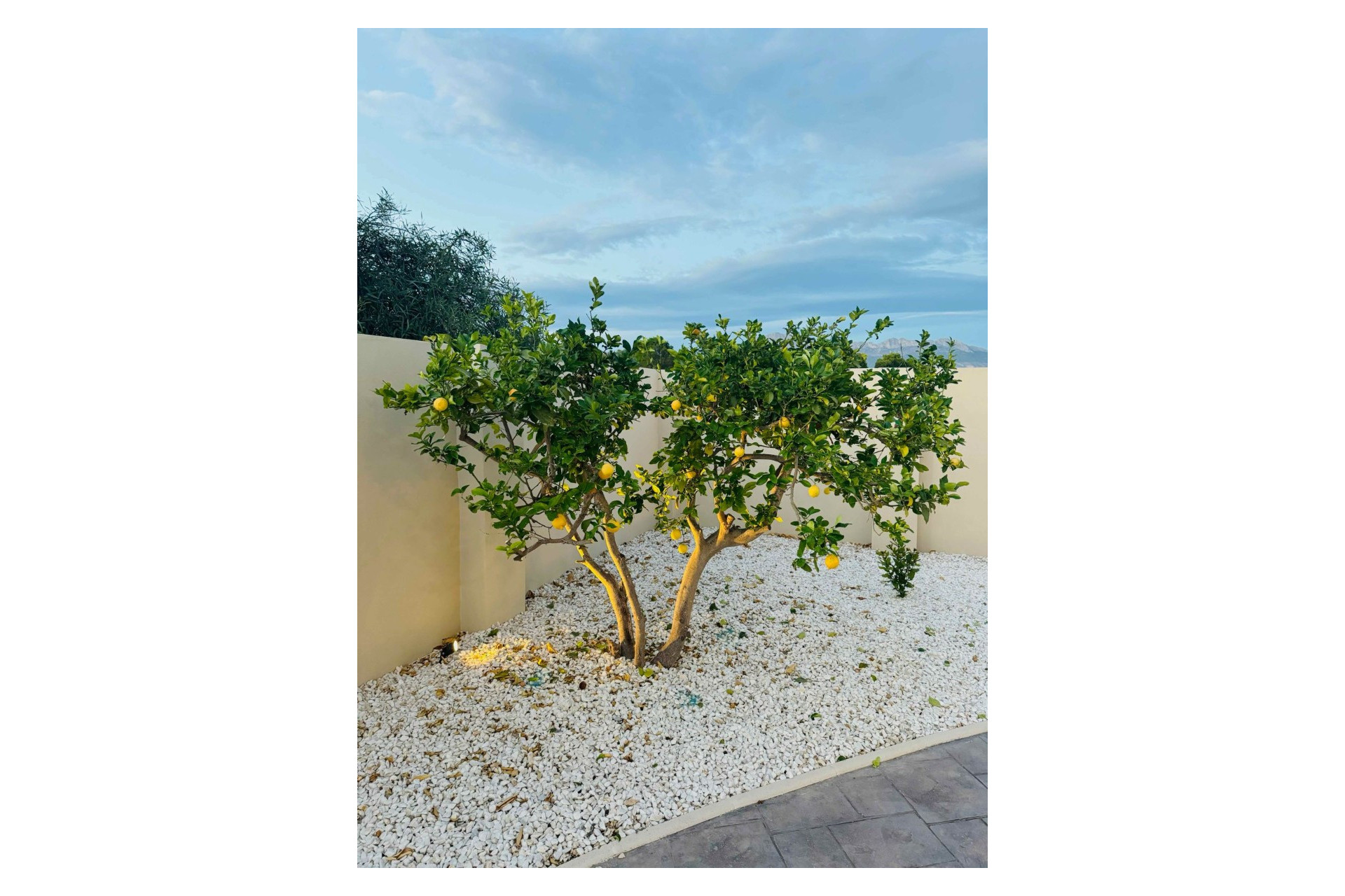 Resale - Detached Villa - Alfas del Pí - pueblo