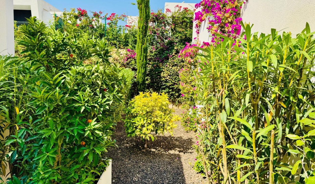 Resale - Detached Villa - Algorfa - La Finca Golf