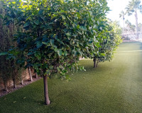 Resale - Detached Villa - Algorfa - La Finca Golf