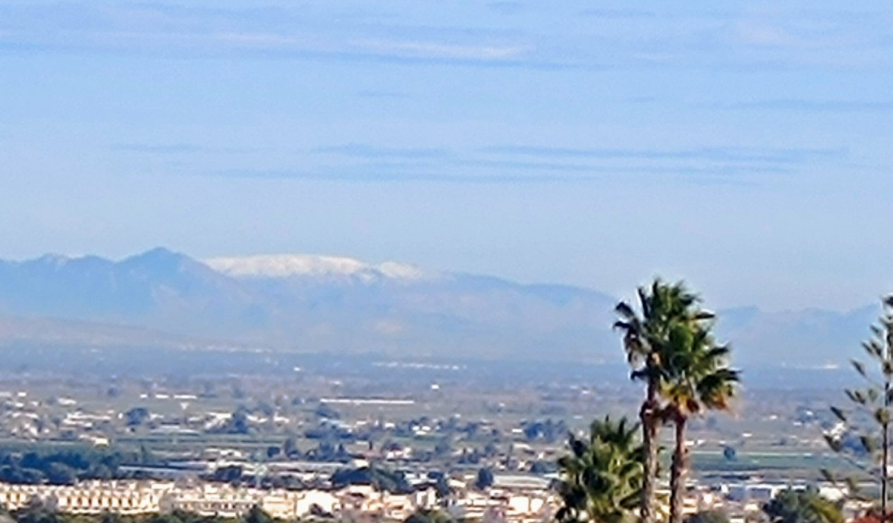 Resale - Detached Villa - Algorfa - Lomas de Juliana