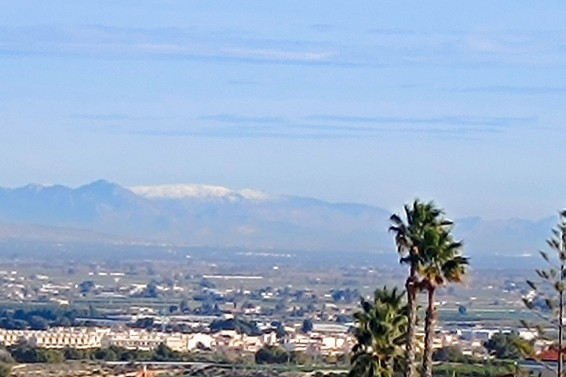 Resale - Detached Villa - Algorfa - Lomas de Juliana