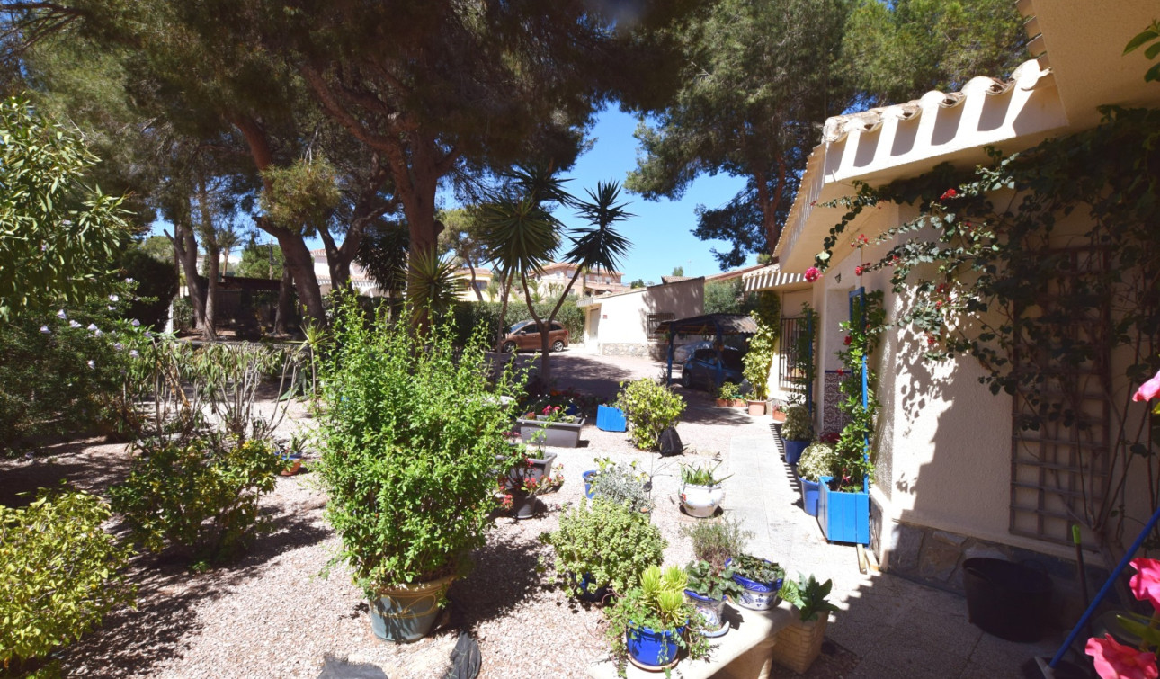 Resale - Detached Villa - Algorfa - Montemar - Saint Andrews Heights