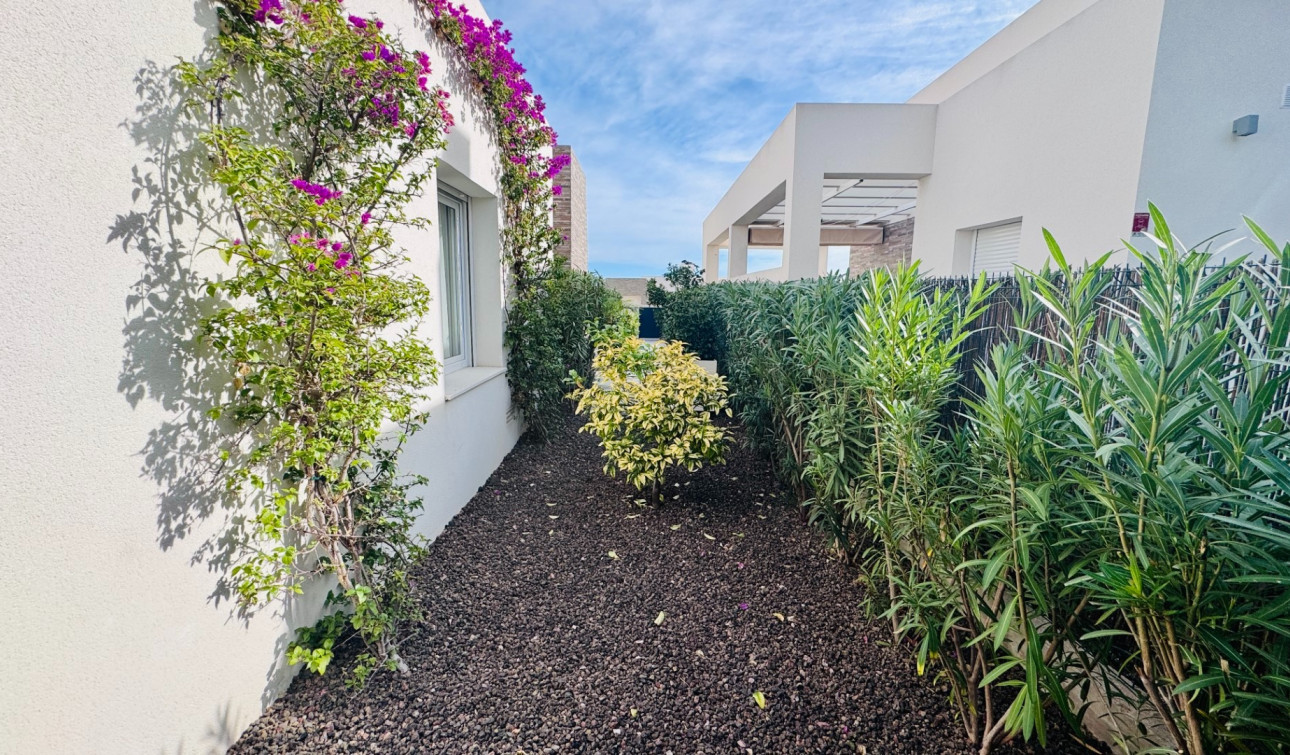 Resale - Detached Villa - Algorfa