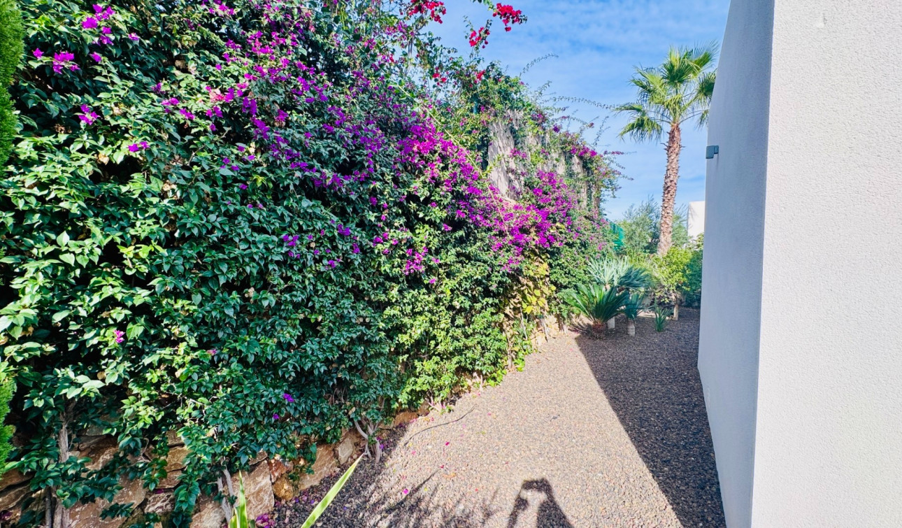 Resale - Detached Villa - Algorfa