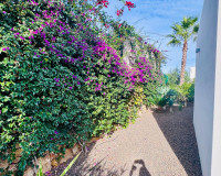 Resale - Detached Villa - Algorfa