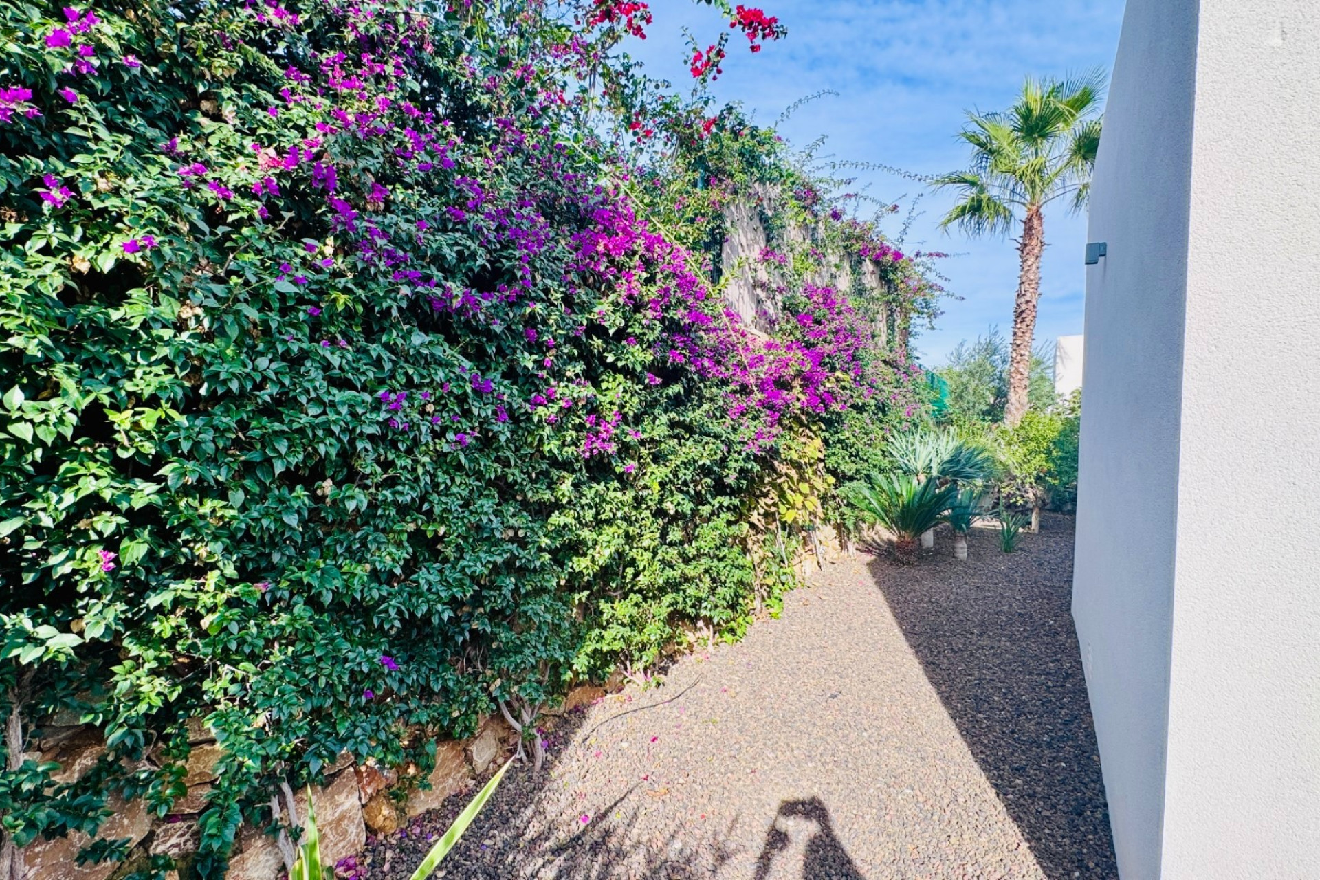 Resale - Detached Villa - Algorfa