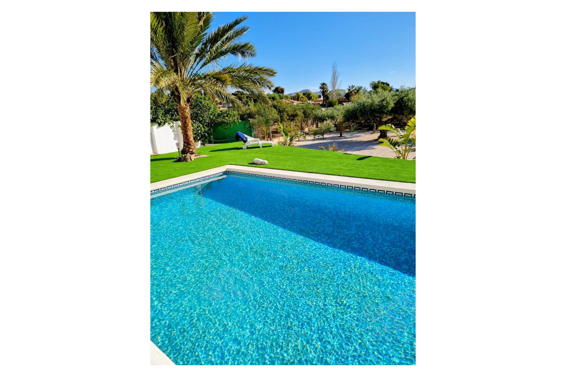 Resale - Detached Villa - Alicante - Moralet - Cañada del Fenollar