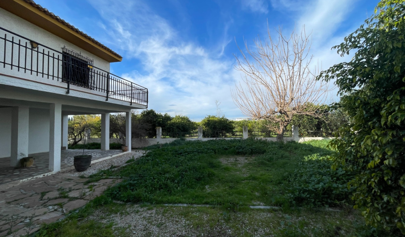 Resale - Detached Villa - Benejúzar - Comunidad Valenciana