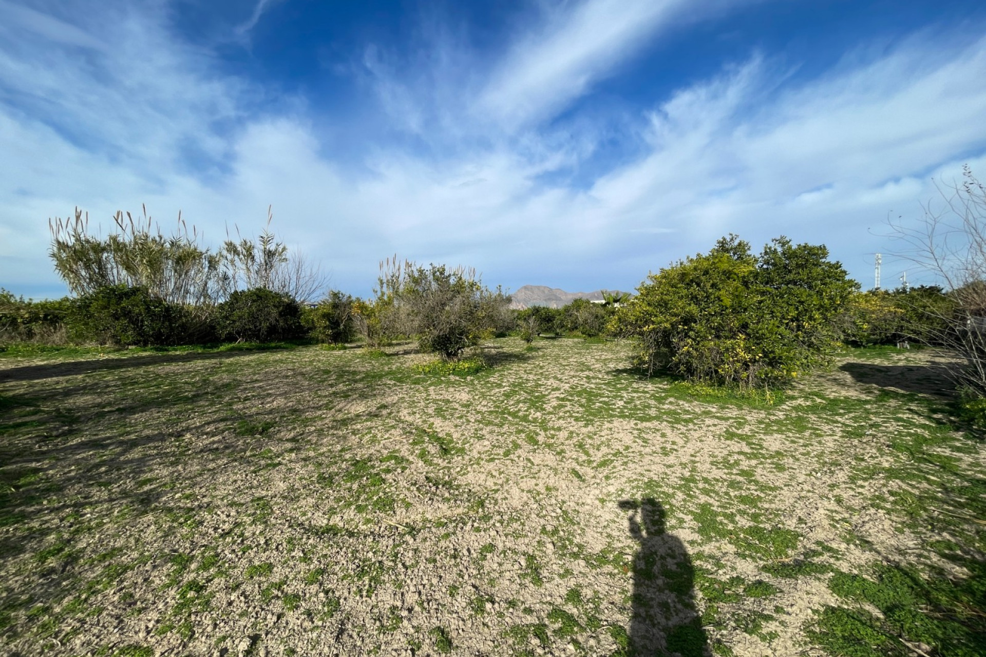 Resale - Detached Villa - Benejúzar - Comunidad Valenciana