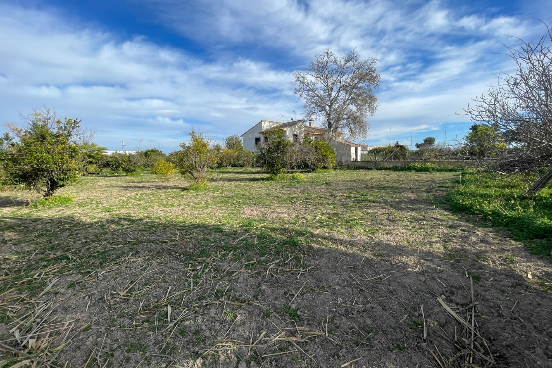 Resale - Detached Villa - Benejúzar - Comunidad Valenciana