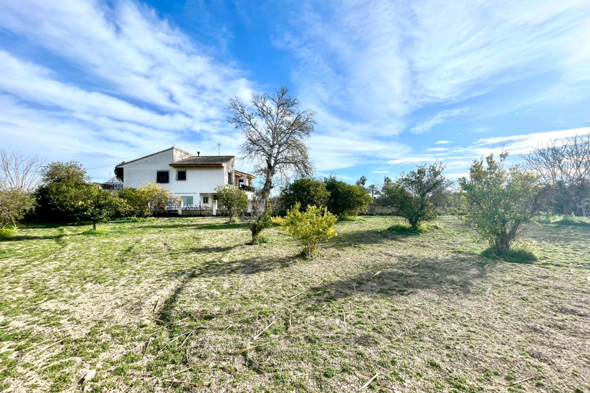 Resale - Detached Villa - Benejúzar - Comunidad Valenciana
