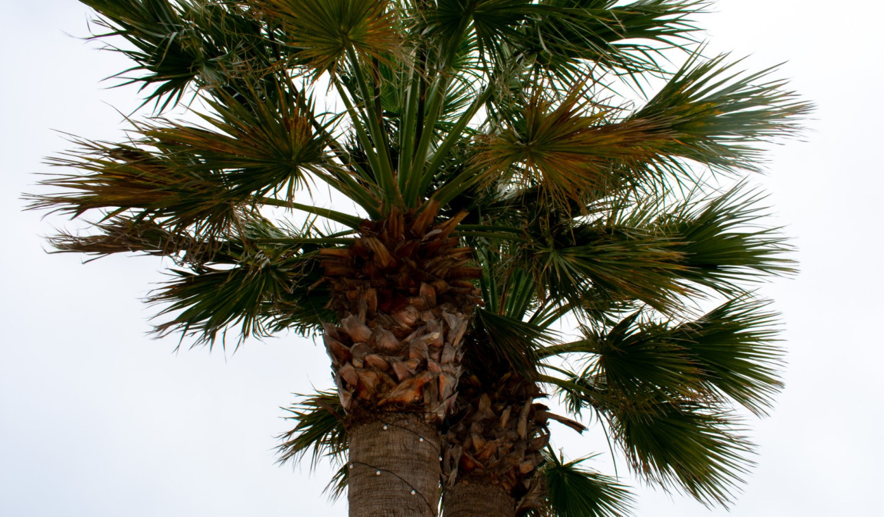 Resale - Detached Villa - Cartagena - La Manga del Mar Menor