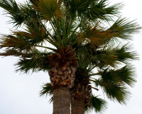 Resale - Detached Villa - Cartagena - La Manga del Mar Menor