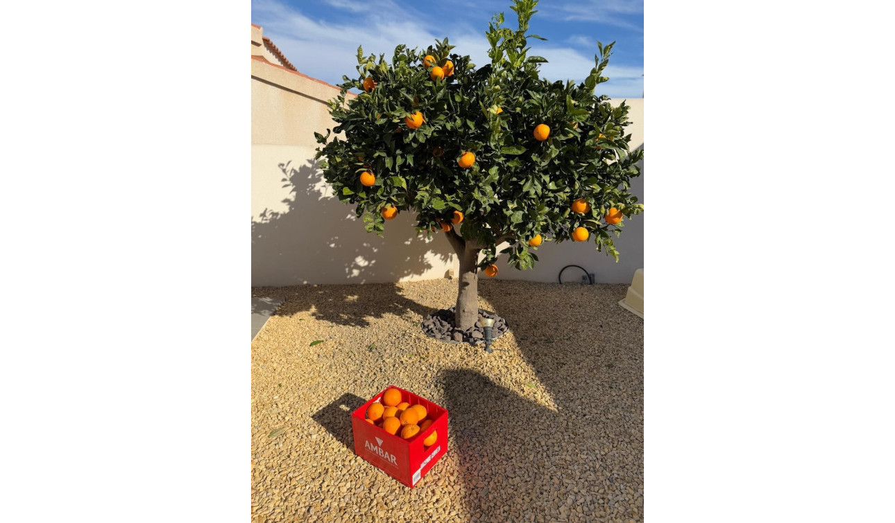 Resale - Detached Villa - Ciudad Quesada