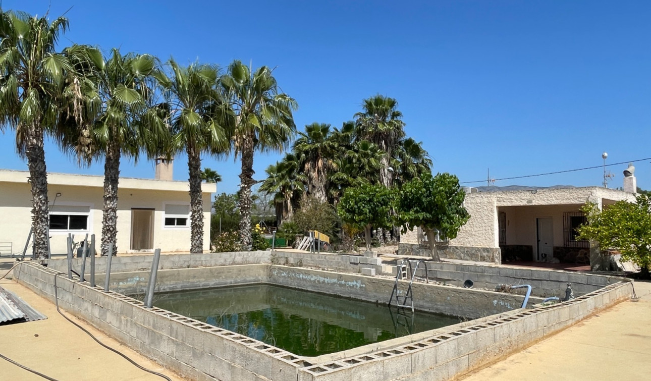 Resale - Detached Villa - Crevillente