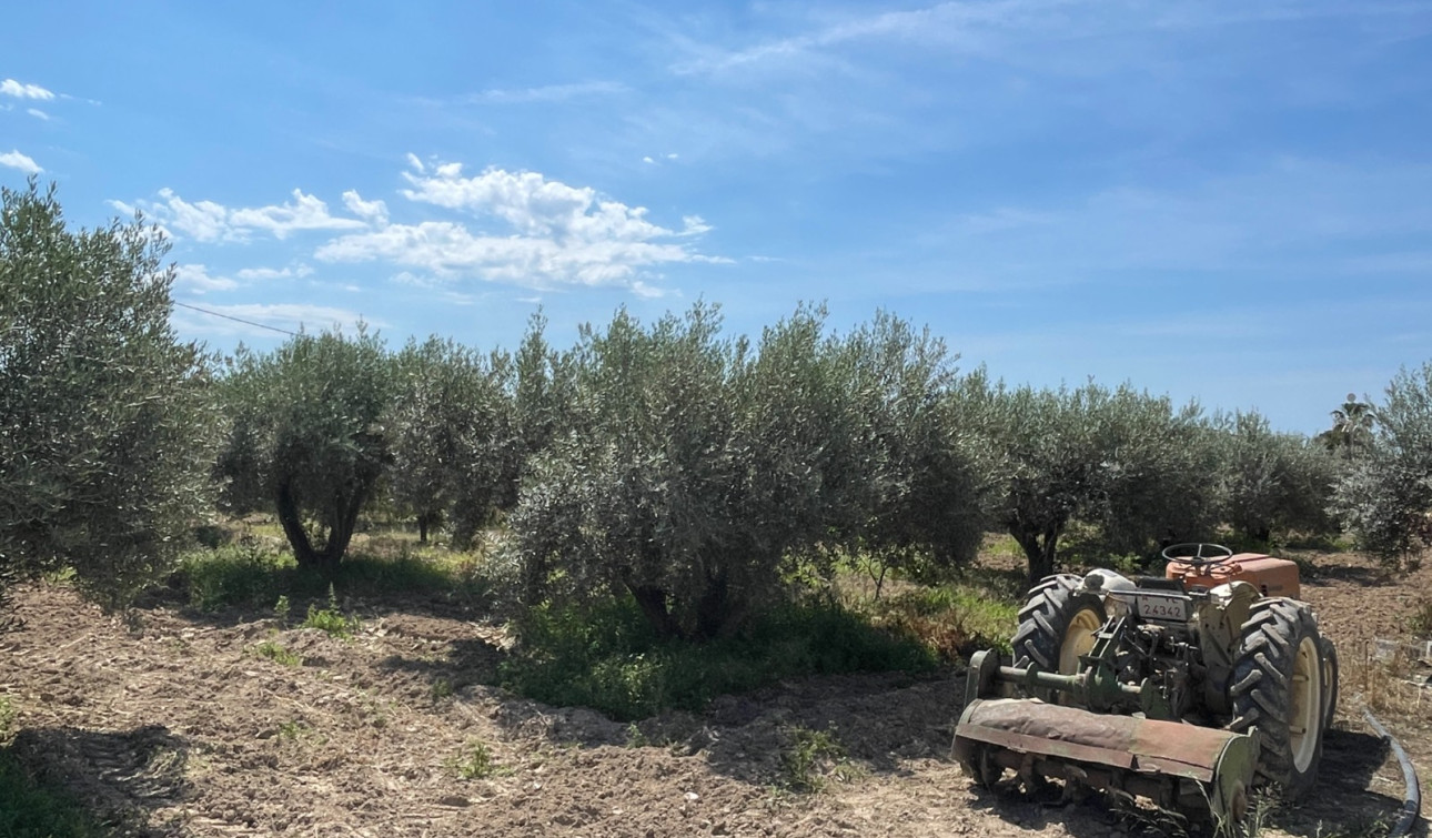 Resale - Detached Villa - Crevillente