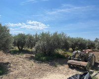 Resale - Detached Villa - Crevillente